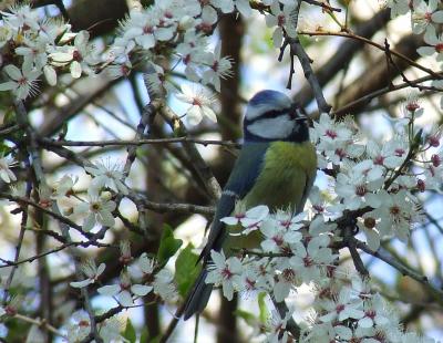 Прикрепленное изображение: Sss3.jpg